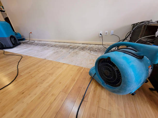 Professional Water Damage Repair technician working in Tilden, NE